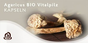 Vorschaubild: Agaricus BIO Vitalpilz 60 Kapseln