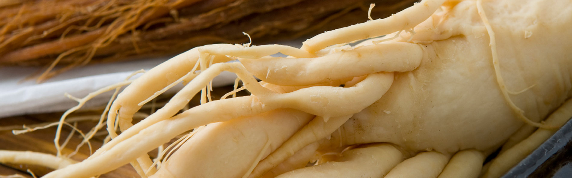 Roter-Ginseng