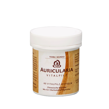 Auricularia Bio Vitalpilz