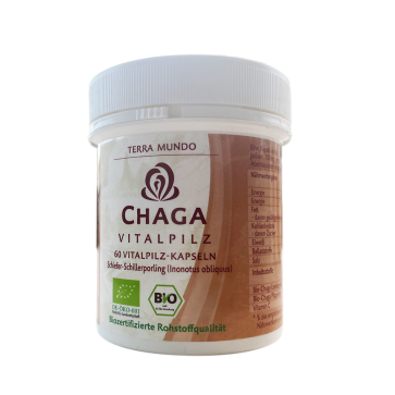 Chaga BIO Vitalpilz