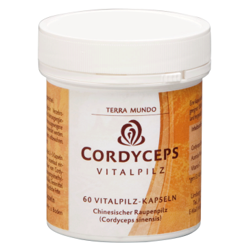 Cordyceps BIO Vitalpilz