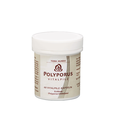 Polyporus BIO Vitalpilz