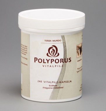 Polyporus Vitalpilz 240 Kapseln