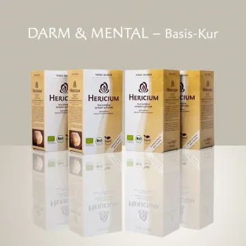 DARM & MENTAL – Basis-Kur