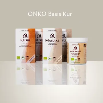 ONKO Basis Kur