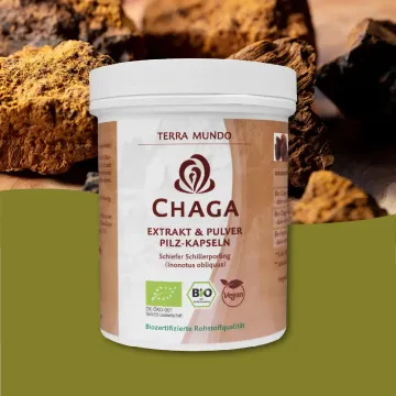Bio Chaga