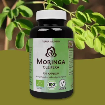 Bio Moringa