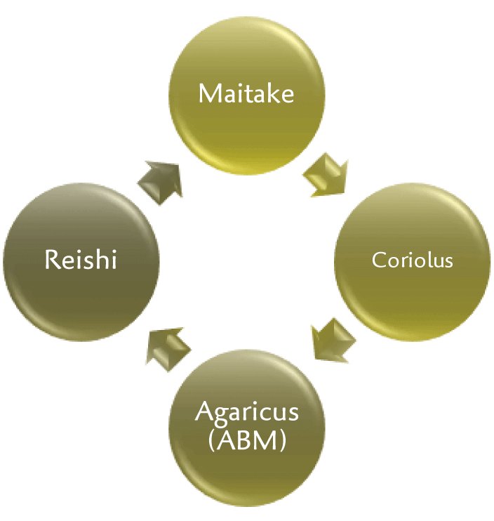 Onko-Basis Kur PLUS+ Onko-Basis Kur PLUS+