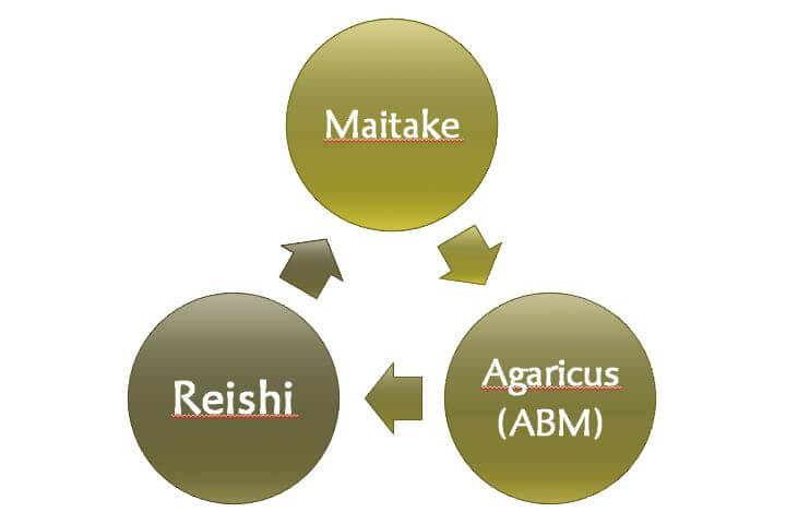 Onko-Basis Kur
