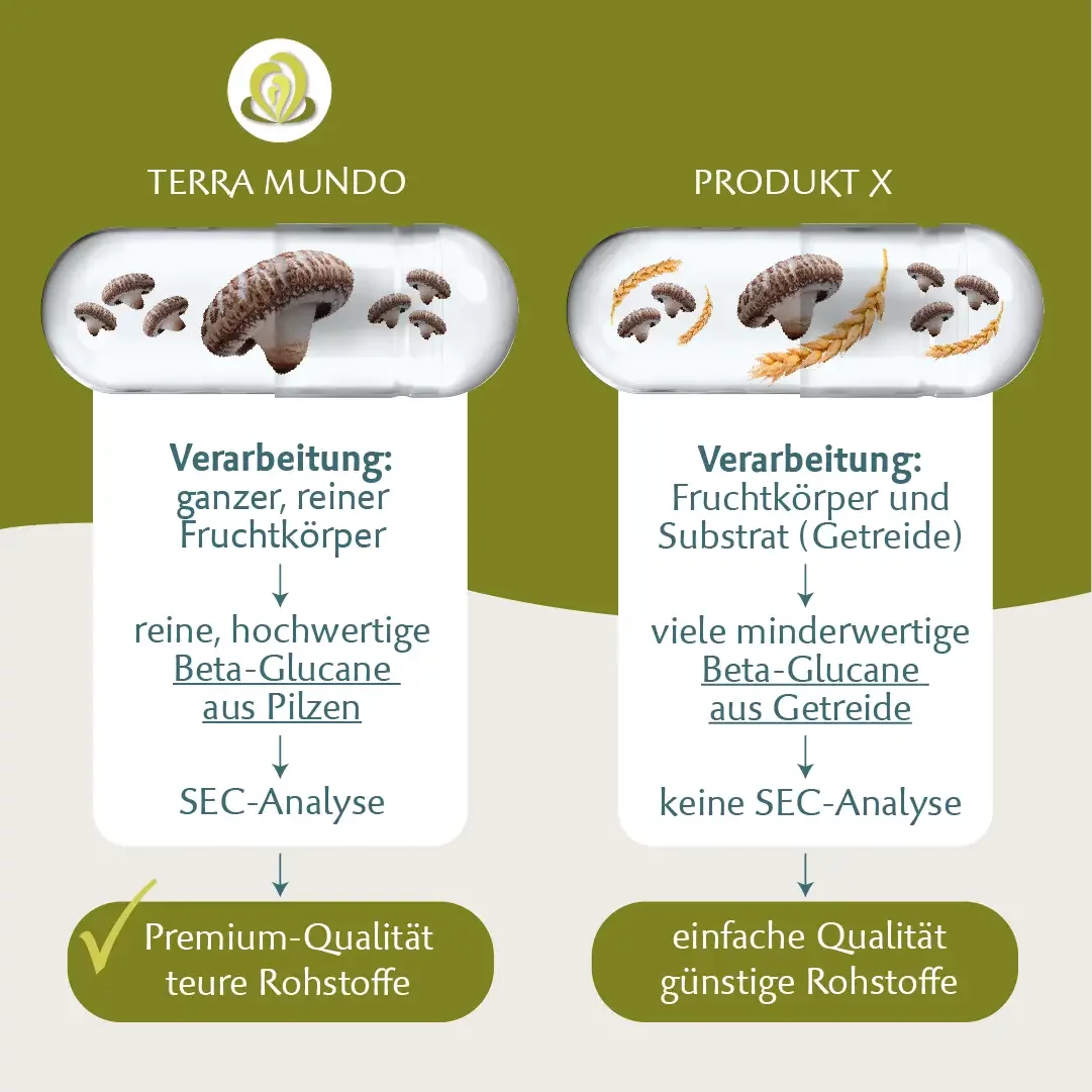 Verarbeitung der Rohstoffe im Shop